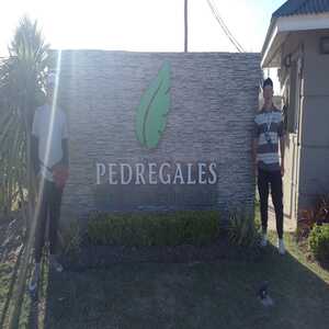 Pedregales