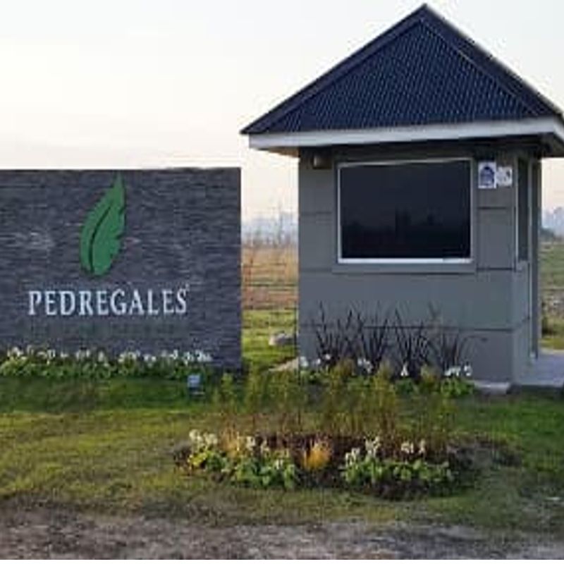 Pedregales de San Vicente